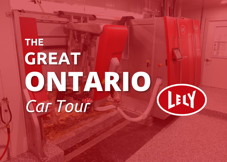 The Great Ontario Car Tour